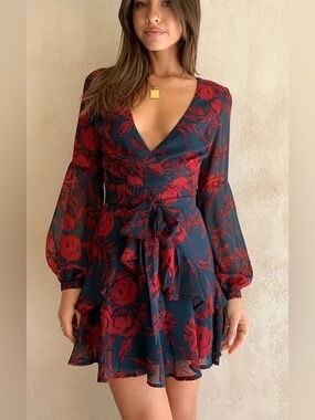 Poppy Floral Ruffle Wrap Dress size medium